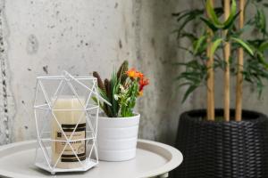 Fotografie z fotogalerie ubytování Willow Suite v destinaci Langley