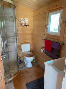 een kleine badkamer met een toilet en een douche bij Ferienhaus am Damwildgatter in Neu Kosenow