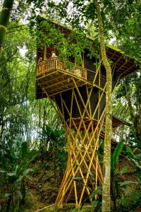a tree house in the middle of a forest at Eco Hotel Hacienda El Diamante in Buga