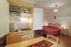 a kitchen with a stove and a bed in a room at Agriturismo Il Casale Grande in Beroide