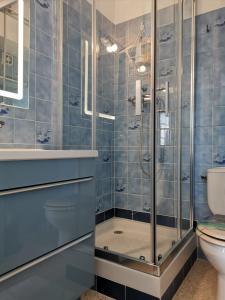 een badkamer met een douche en een toilet bij L'oasis paisible in Castelnau-le-Lez