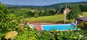 a villa with a swimming pool on a hill at Vila Lisina in Seliste Dreznicko