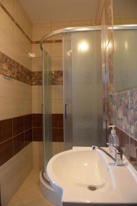 Kúpeľňa v ubytovaní Hotelik Pod Lwami