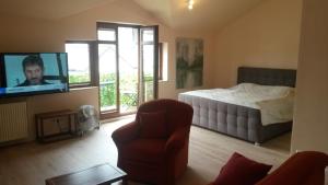 Et tv og/eller underholdning på Altstadt-Ferienwohnung Rodica