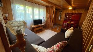 a living room with a couch and a television at Cabana Paulina in Chişcău