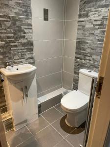 a bathroom with a toilet and a sink at City Centre Duplex Sleeps 4 #H9 in Hull