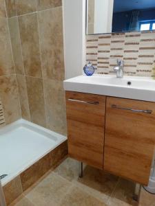 a bathroom with a sink and a shower and a tub at Chambres d'hôtes indépendantes au rez-de-chaussée d'une maison provençale dont une avec cour intérieure in Tarascon +18 photos