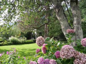 a garden with flowers in front of a tree at Hotel Palazzo Salis in Soglio