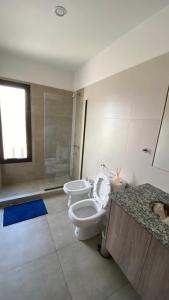 盧漢德庫約的住宿－Departamento Amoblado MorenoPark 683，一间带卫生间和水槽的浴室