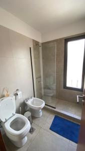 La salle de bains est pourvue de toilettes, d'un lavabo et d'une douche. dans l'établissement Departamento Amoblado MorenoPark 683, à Luján de Cuyo
