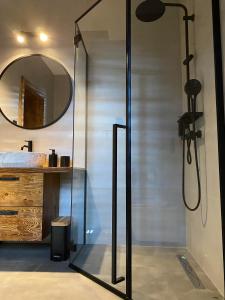 a shower with a glass door in a bathroom at Apartamenty Zander in Zator
