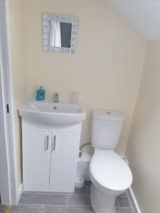 uma casa de banho com um WC branco e um lavatório. em Leamington House em Barmouth