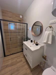 ein Bad mit einer Dusche, einem Waschbecken und einem Spiegel in der Unterkunft Villa Romana - FREE PRIVATE PARKING in Ljubljana