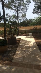 A garden outside Viviendas Ferrer-Es Mal Pas