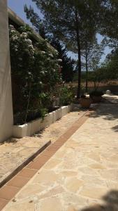 A garden outside Viviendas Ferrer-Es Mal Pas