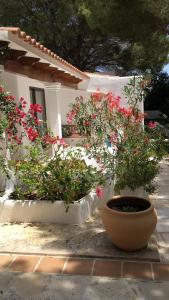 A garden outside Viviendas Ferrer-Es Mal Pas