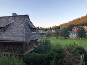 Zahrada ubytování Gästehaus Lickert Ferienwohnung Süd Feldberg