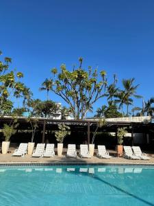 Piscine de l'établissement Delphin Beach Hotel ou située à proximité