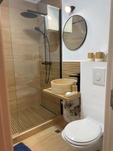 a bathroom with a shower with a toilet and a mirror at Cozy Apartment Old Town in Constanţa