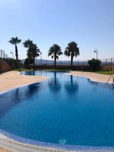 duży basen z palmami w tle w obiekcie Mojacar terrazas del Golf w mieście Mojácar