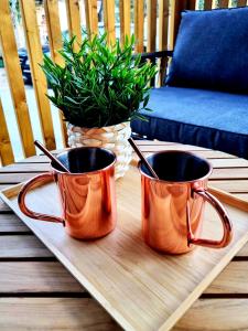 Dos cubos de cobre sobre una bandeja con una planta. en InnMare Mobile Homes, en Biograd na Moru