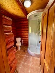 Et badeværelse på Cabana Ursu’ Zburator + 10 billeder