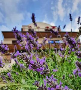Vonkajšia záhrada v ubytovaní Hotel B&B CHAMBERLAIN