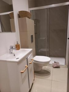 y baño con aseo, lavabo y ducha. en DOGA Bel appartement 1er étage 4 personnes bebe, en Reims