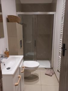 a bathroom with a shower and a toilet and a sink at DOGA Bel appartement 1er étage 4 personnes bebe in Reims