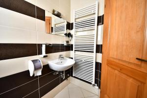 a bathroom with a sink and black and white tiles at Farm Stay Peternelj in Ilirska Bistrica