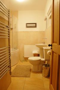 a bathroom with a toilet and a sink at Coolbeg Farmhouse in Maguires Bridge