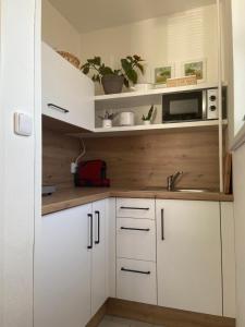 Gambar di galeri bagi Apartmán v Březí di Březí