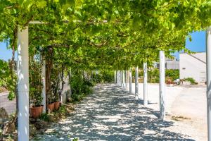 un arbitro di alberi e piante su un marciapiede di Murieri Rooms a Otranto