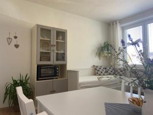 Kuchyň nebo kuchyňský kout v ubytování Apartmán v Březí + 21 fotografií