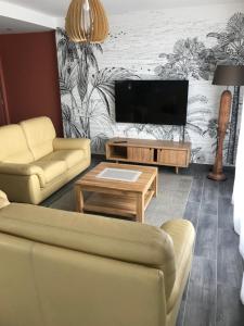 a living room with two couches and a flat screen tv at Lou Maset in Saint-Paul-Trois-Châteaux