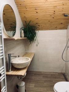 ein Bad mit einem Waschbecken und einem Spiegel in der Unterkunft Tourist Farm Strle With Great Local Food in Cerknica