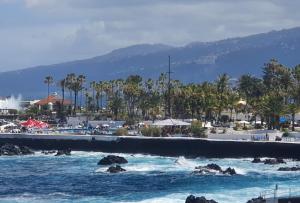 una playa con palmeras y un cuerpo de agua en Marina Beach, en Puerto de la Cruz