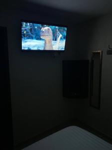 a lizard on a tv screen in a room at Hotel Central Pirámides in San Martín de las Pirámides