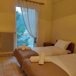 a bedroom with two beds and a window with a view at FANTINO HOTEL in Domnista