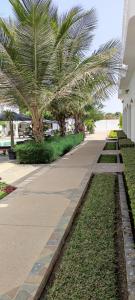 a sidewalk with palm trees next to a building at Dulaa Deema Residence Brufut Heights in Trankill