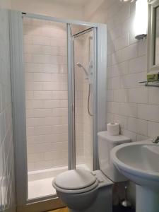 W łazience znajduje się prysznic, toaleta i umywalka. w obiekcie Lovely 2 bedroom flat in the heart of the city w Edynburgu