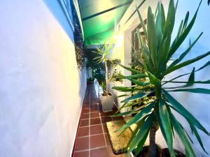 a hallway with potted plants next to a building at Pousada Family Consulado Americano in São Paulo