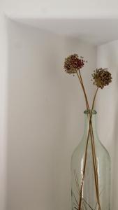 a glass vase with flowers in it next to a wall at Laina Traditional Guest House in Apérathos