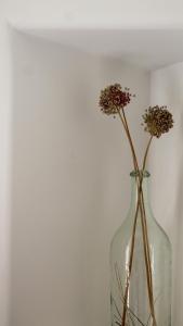 a glass vase with flowers in it next to a wall at Laina Traditional Guest House in Apeiranthos