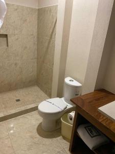 a bathroom with a toilet and a shower at Hotel Central Pirámides in San Martín de las Pirámides