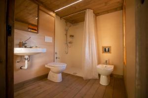 マッサ・マリッティマにあるGlamping Podere San Jacopoのトイレと洗面台付きのバスルーム