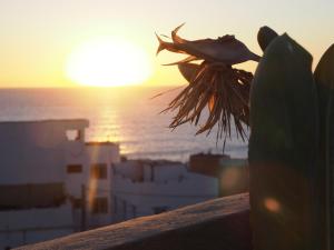 een bloem op een richel met de zonsondergang op de achtergrond bij Traditional Moroccan House in Taghazout