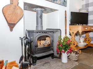 Ivy Cottage في ريبون: موقد خشبي في غرفة مع تلفزيون