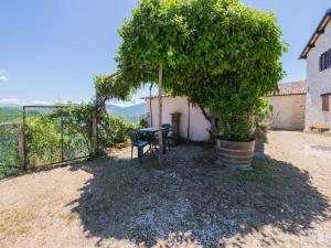 Garden sa labas ng Quiet holiday home in Sellano with swimming pool a few kilometers from Rasiglia