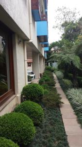 una acera junto a un edificio con arbustos y una ventana en Apartment Ficher Sobrinho, en Gramado